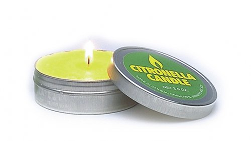 Coghlans survival candle