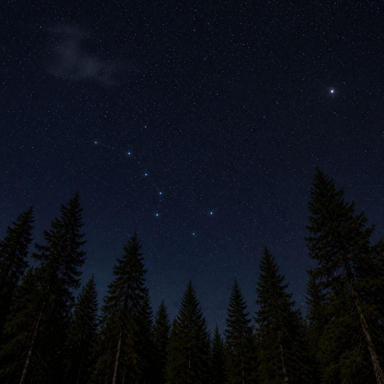 Jak sprawdzić, gdzie jest północ: praktyczny poradnik